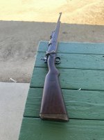 IMG_3242.jpeg