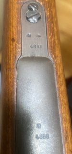 IMG_9123.jpeg