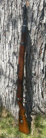 IMG_0500.jpeg