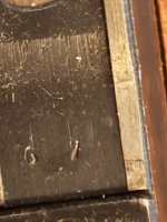IMG_1246.jpeg