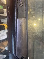 IMG_0022.jpeg