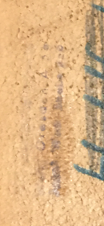 IMG_3190.png