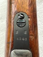 IMG_8656.jpeg