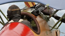 albatros-.jpg albatros-.jpg