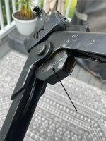 IMG_6884.jpeg