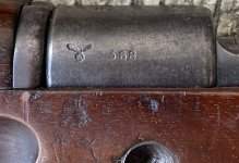 IMG_3795.jpeg