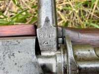 IMG_7443.jpeg