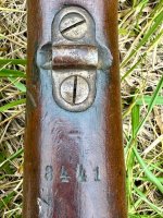 IMG_7457.jpeg