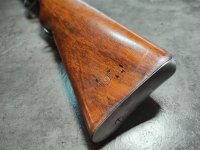 178531006 (9).jpg