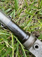 IMG_7432.jpeg
