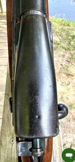 IMG_0116.jpeg
