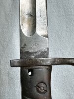 IMG_9329.jpeg