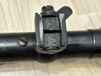 IMG_3883.jpeg