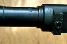 IMG_9923.jpeg