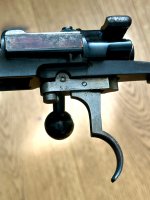 IMG_9925.jpeg
