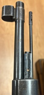 IMG_8197.jpeg
