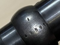 IMG_3874 bis.jpeg