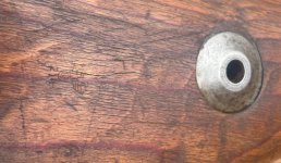 IMG_5309.jpeg
