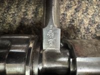 IMG_9768.jpeg