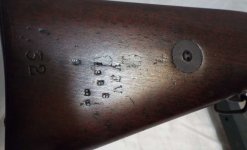IMG_1355.jpeg