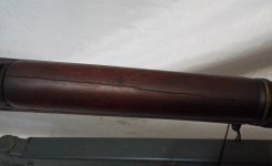 IMG_1356.jpeg