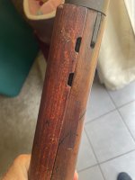 IMG_5229.jpeg