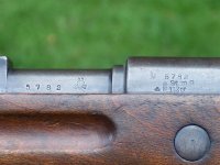 100_5481 (Medium).JPG