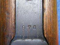 IMGP9716.jpg