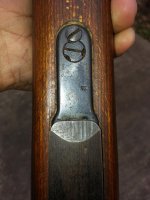 BNZ44 (26).jpg
