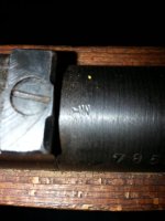 BNZ44 (35).jpg