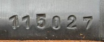 DSC_- Copy.jpg