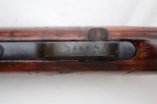 Triggerguard Serial_01.jpg
