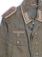 heer hbt with collar insig..jpg