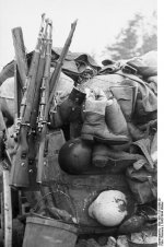 G41W Cart.jpg