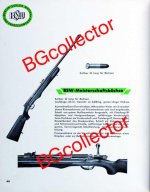 bsw-4.jpg